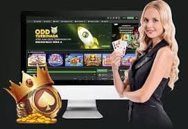 6655bet com